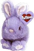 bumper.gif (8860 bytes)