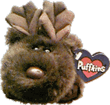 gus.gif (12305 bytes)