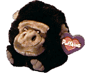 max.gif (6728 bytes)