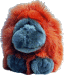 omar.gif (10412 bytes)