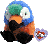 squawk.gif (8364 bytes)
